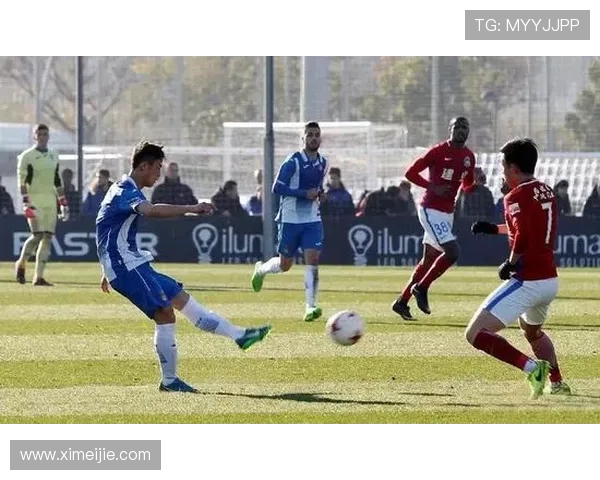 西安羽毛球队崛起之路：钻石联赛背后的奋斗与荣耀