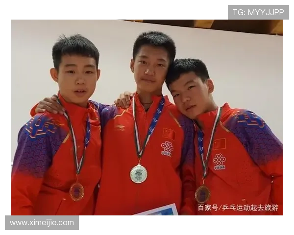 北京乒乓球队近期状态分析与未来发展方向的深入探讨