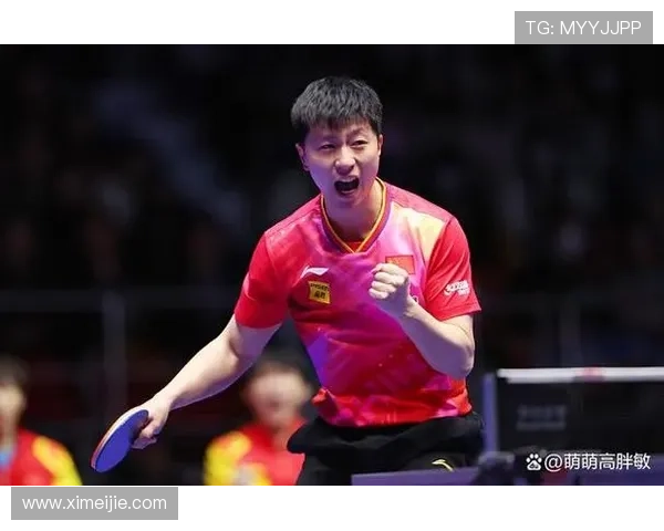 深圳乒乓球队在冠军赛中的技术表现分析与未来发展展望